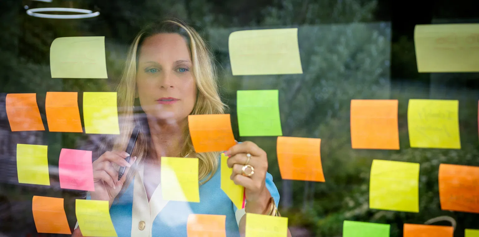 PMP Synergy Outlook