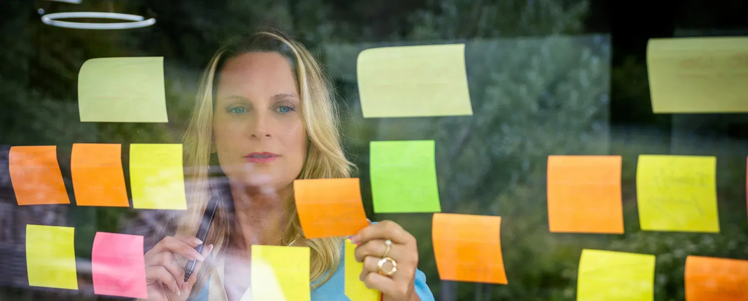 PMP Synergy outlook