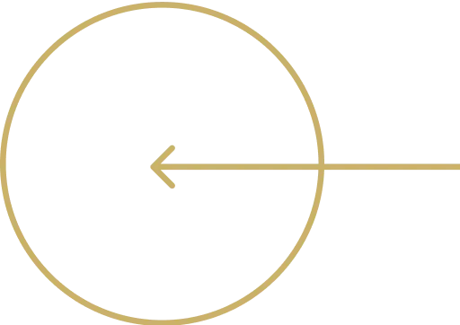 Button icon
