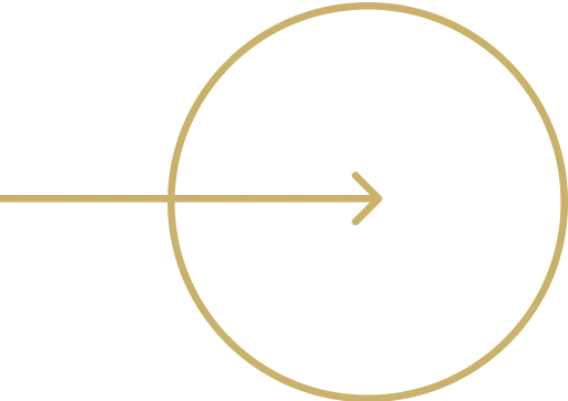 Button icon